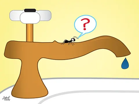 an ant in a bathtub interacting with a bather (tongue-in-cheek poem) - THE VERY SHORT MEMOIR OF AN ANT<br>by Michael VanCalbergh